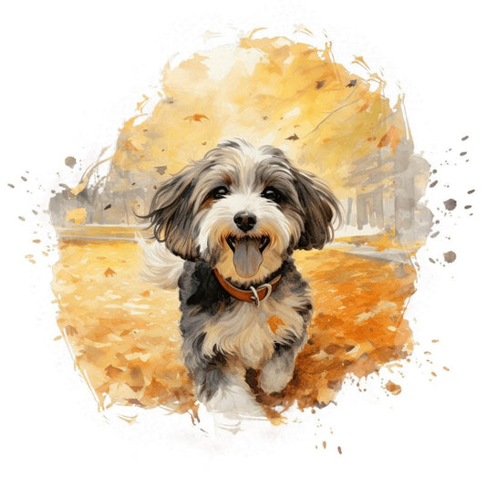 Havanese Dog | Diamond Painting