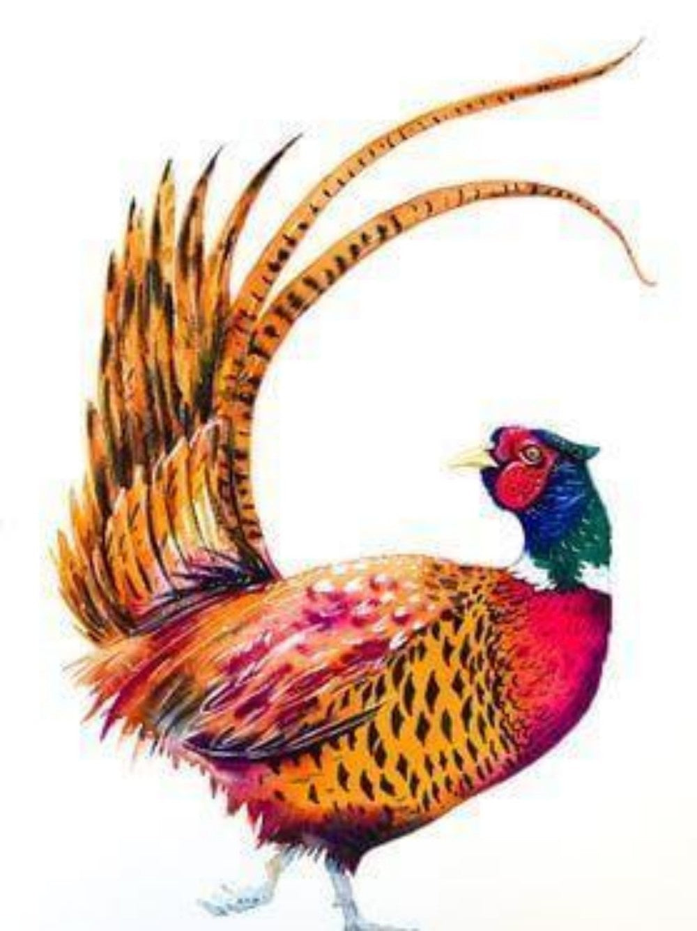 Pheasant | Diamond Painting