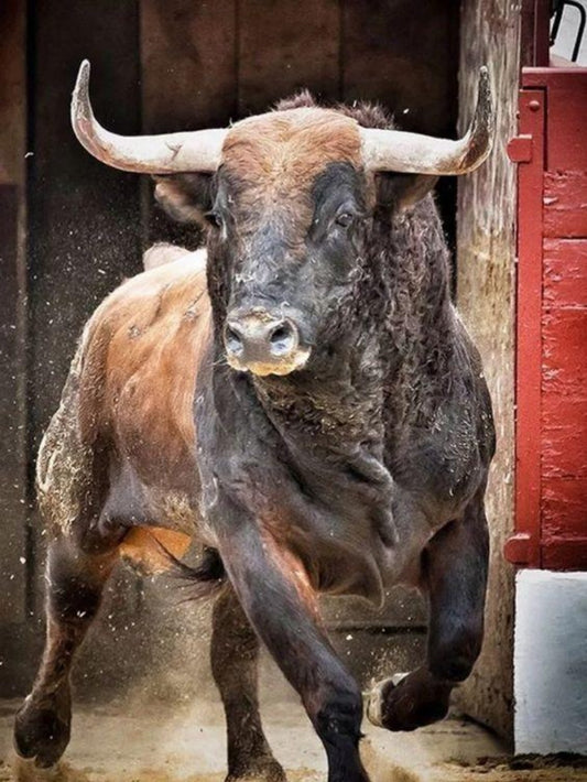 Cow | Diamond Painting