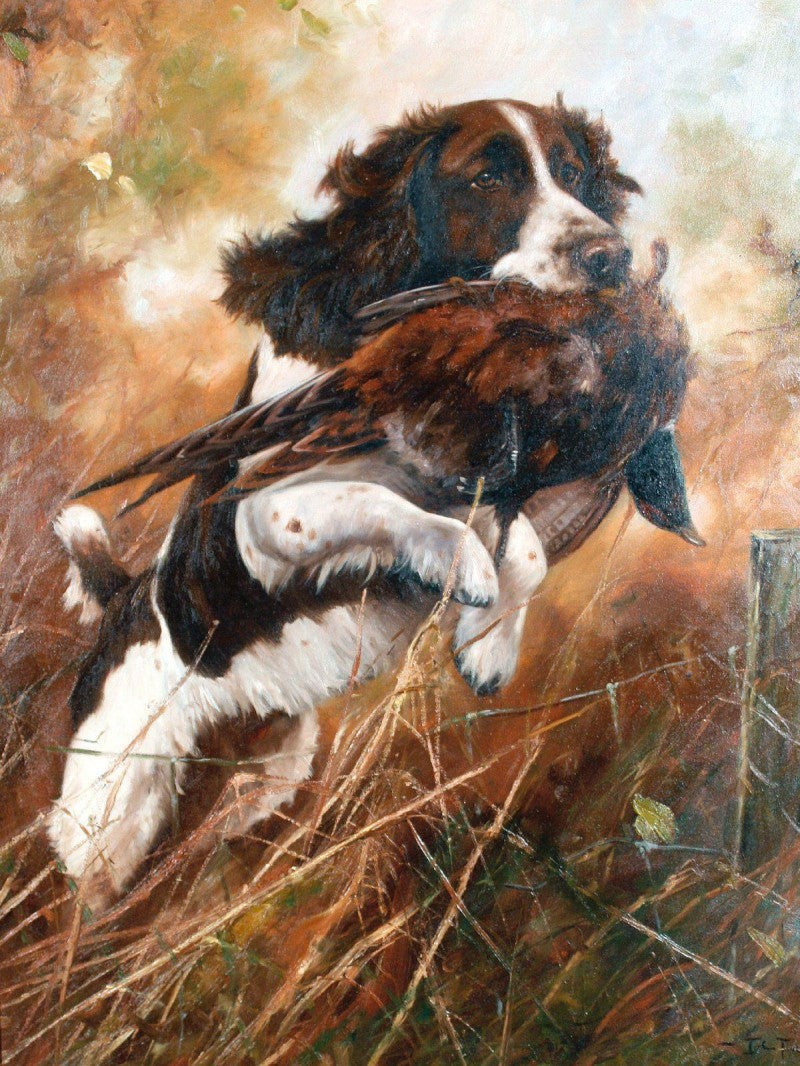 English Springer Spaniel Dog | Diamond Painting