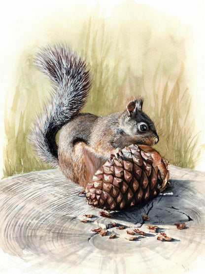Squirrel | Diamond Painting