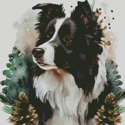 Dog Border Collie | Diamond Painting