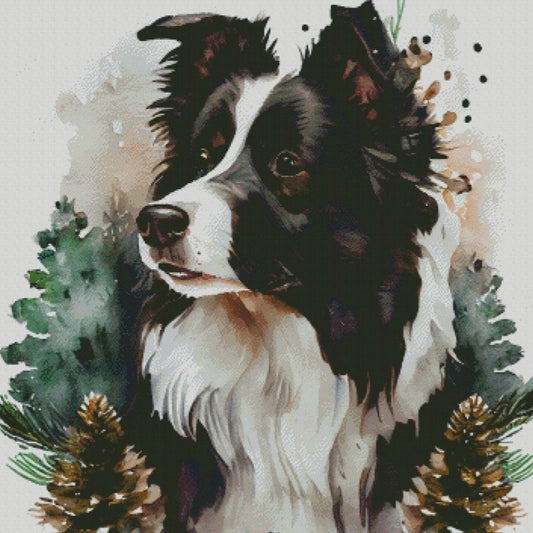 Dog Border Collie | Diamond Painting