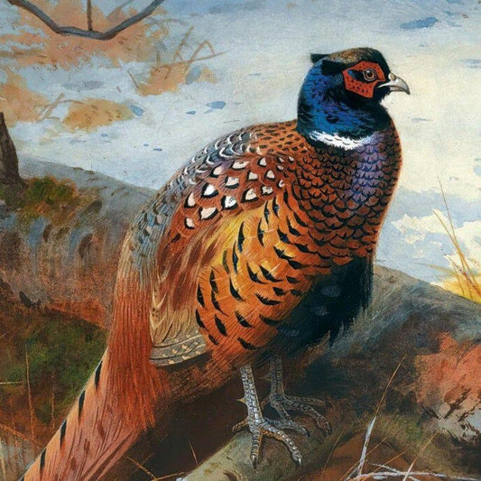 Pheasant | Diamond Painting