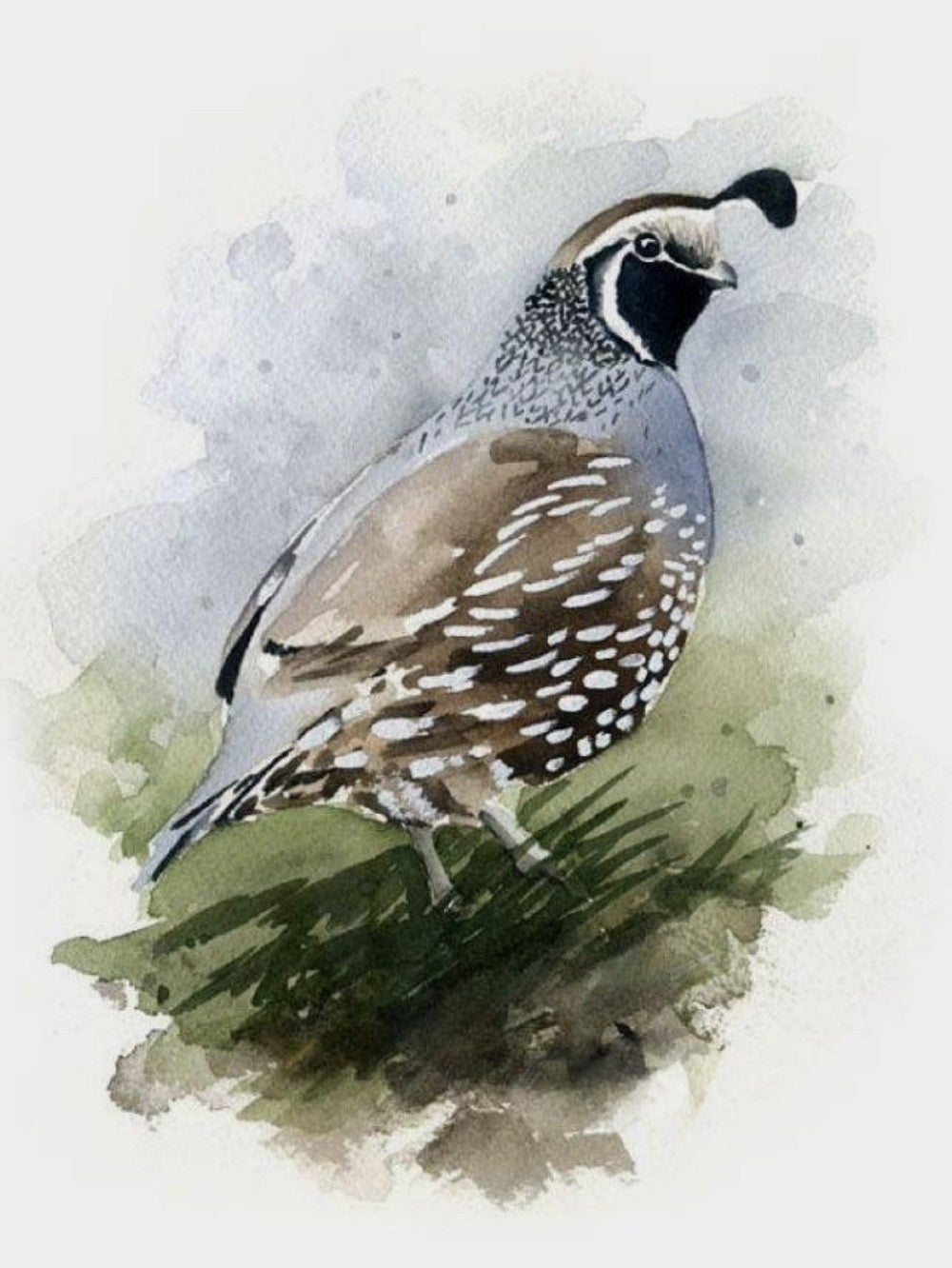 Quail | Diamond Painting