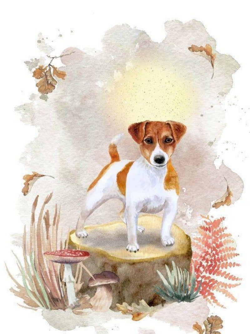 Dog Jack Russell | Diamond Painting