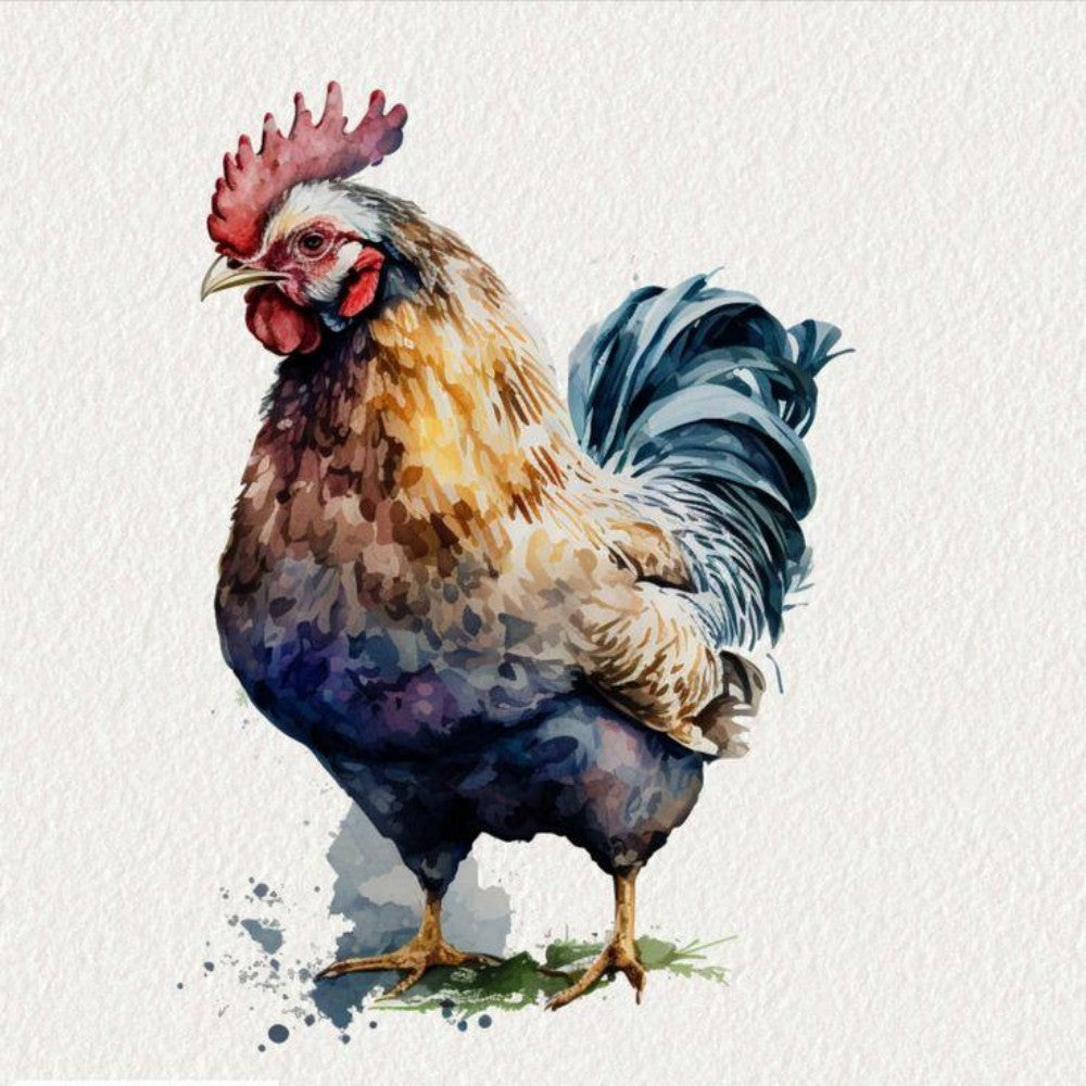 Chicken | Diamond Painting