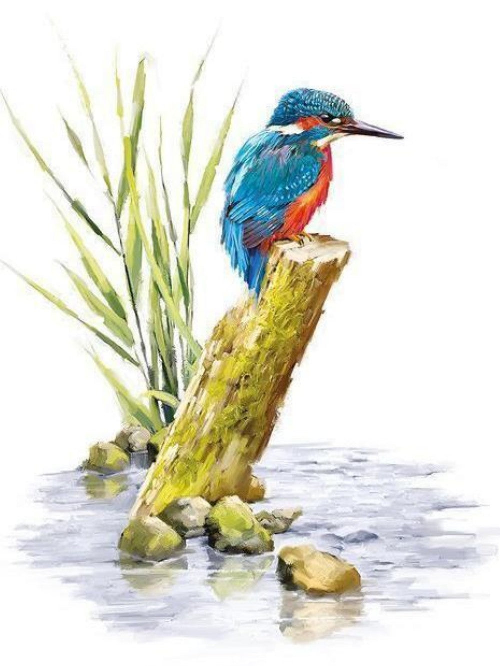 Kingfisher | Diamond Painting
