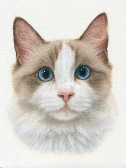 Ragdoll Cat | Diamond Painting