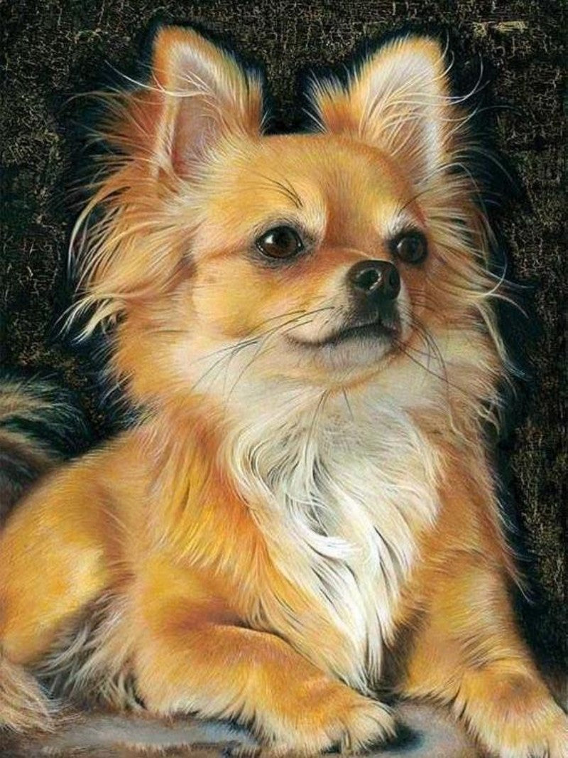 Dog Chihuahua | Diamond Painting