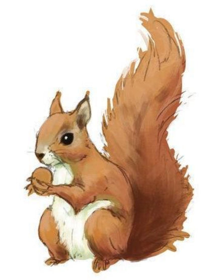 Squirrel | Diamond Painting