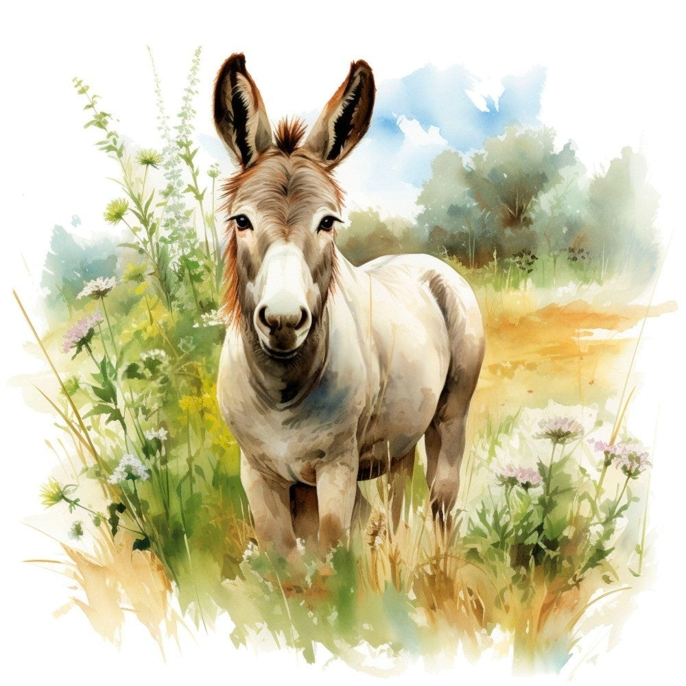 Donkey | Diamond Painting