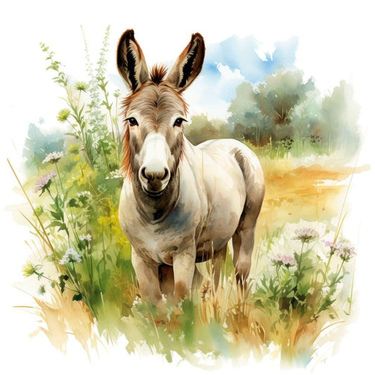 Donkey | Diamond Painting
