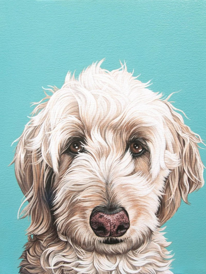 Labradoodle Dog | Diamond Painting