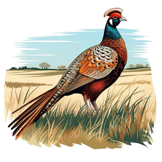 Pheasant | Diamond Painting