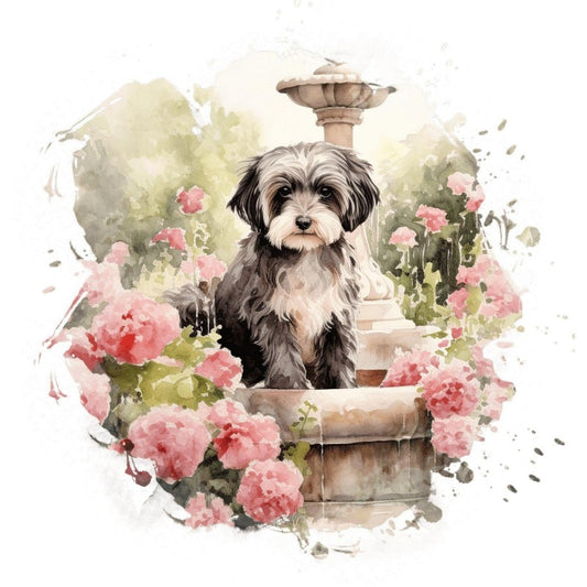 Havanese Dog | Diamond Painting