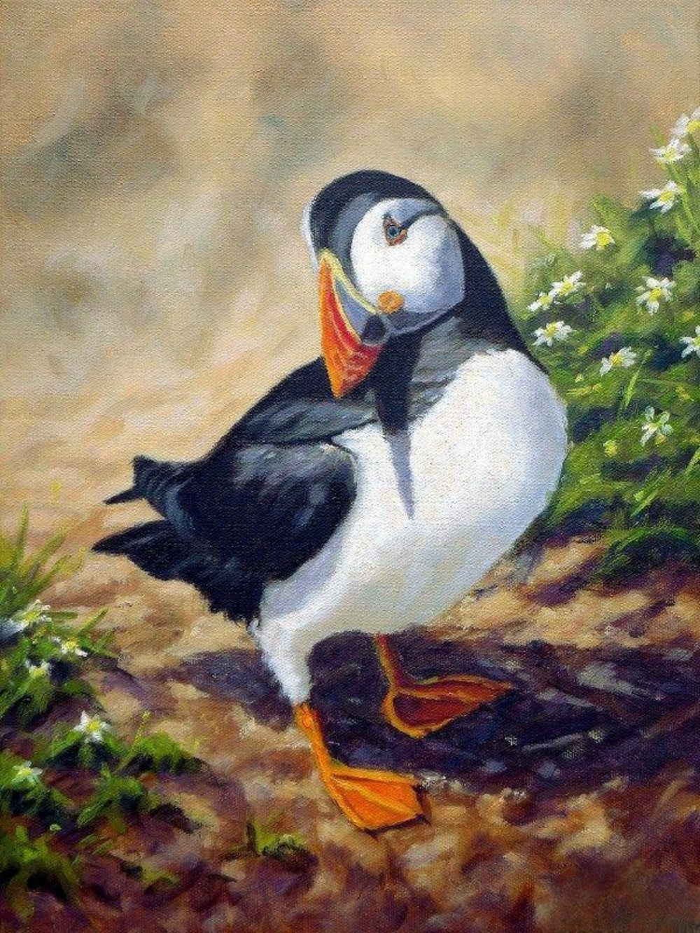 Puffin | Diamond Painting