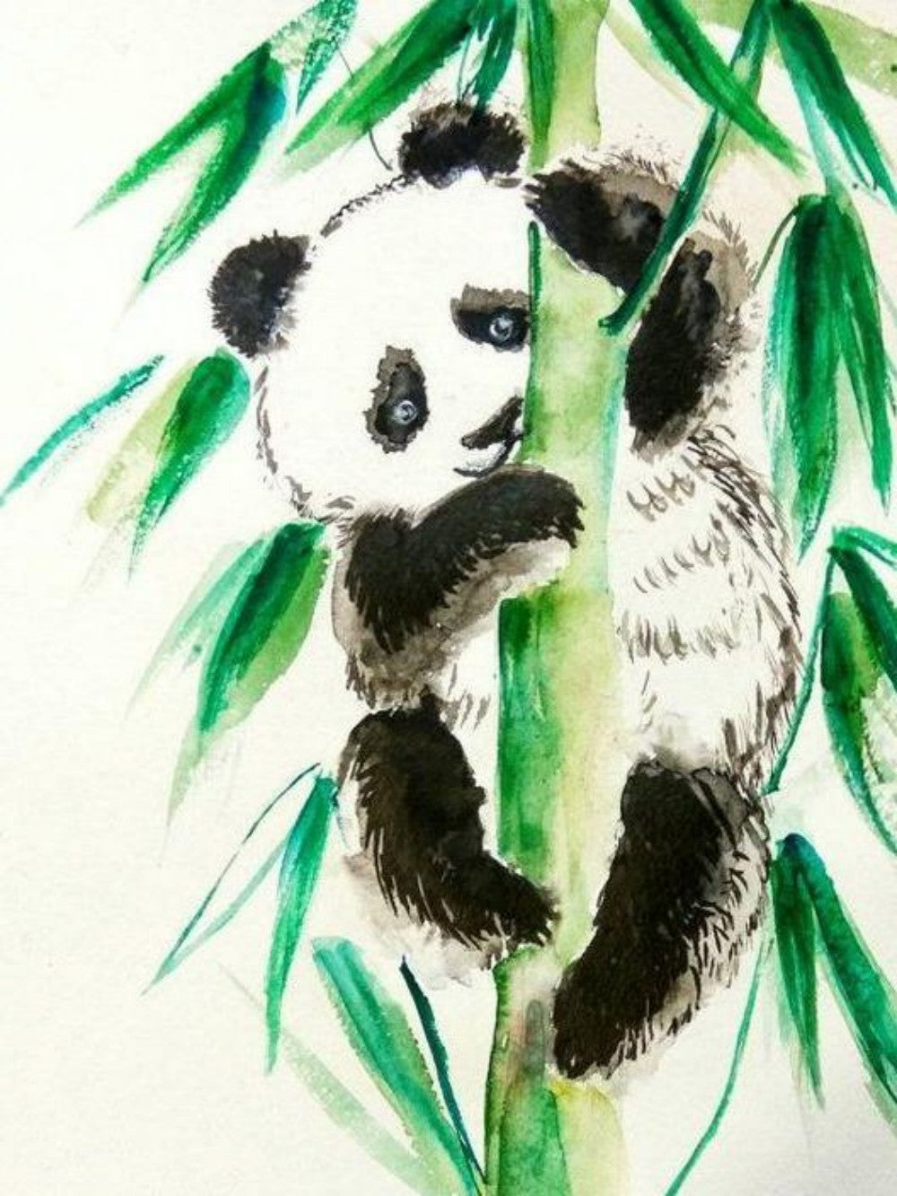 Panda | Diamond Painting