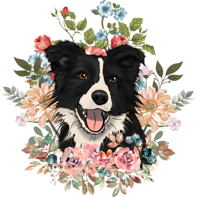 Dog Border Collie | Diamond Painting