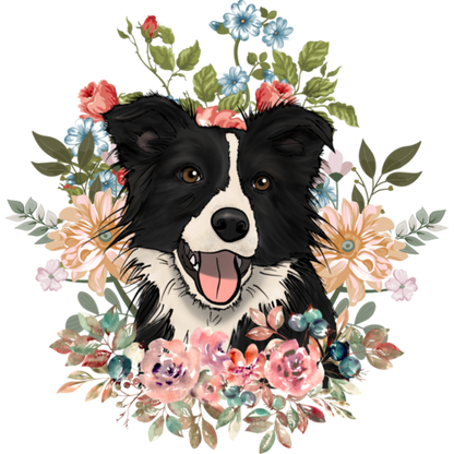 Dog Border Collie | Diamond Painting