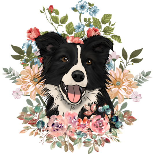 Dog Border Collie | Diamond Painting