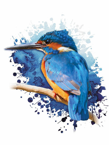 Kingfisher | Diamond Painting