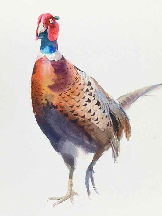 Pheasant | Diamond Painting