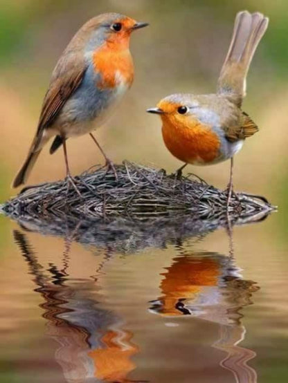 Robin Bird | Diamond Painting