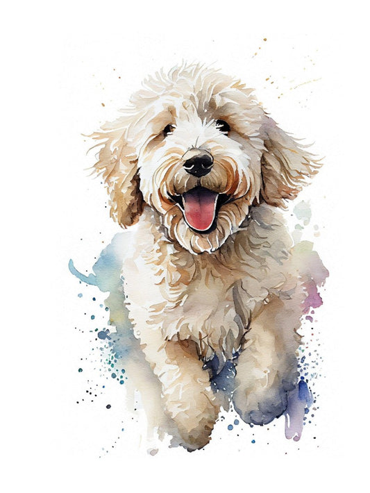 Poodle Dog | Diamond Painting