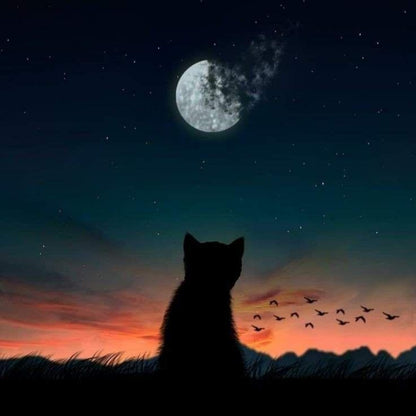 Midnight Cat | Diamond Painting