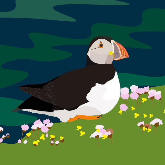 Puffin | Diamond Painting