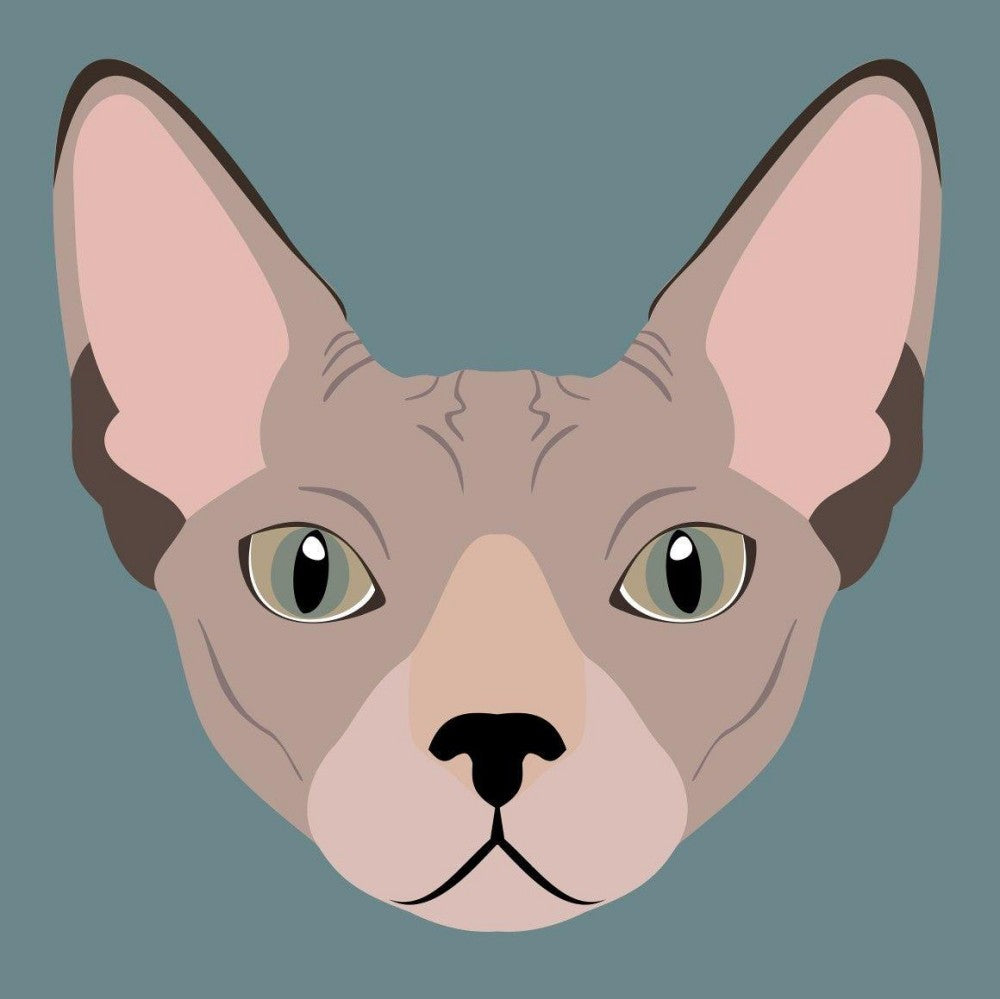 Sphynx Cat  | Diamond Painting