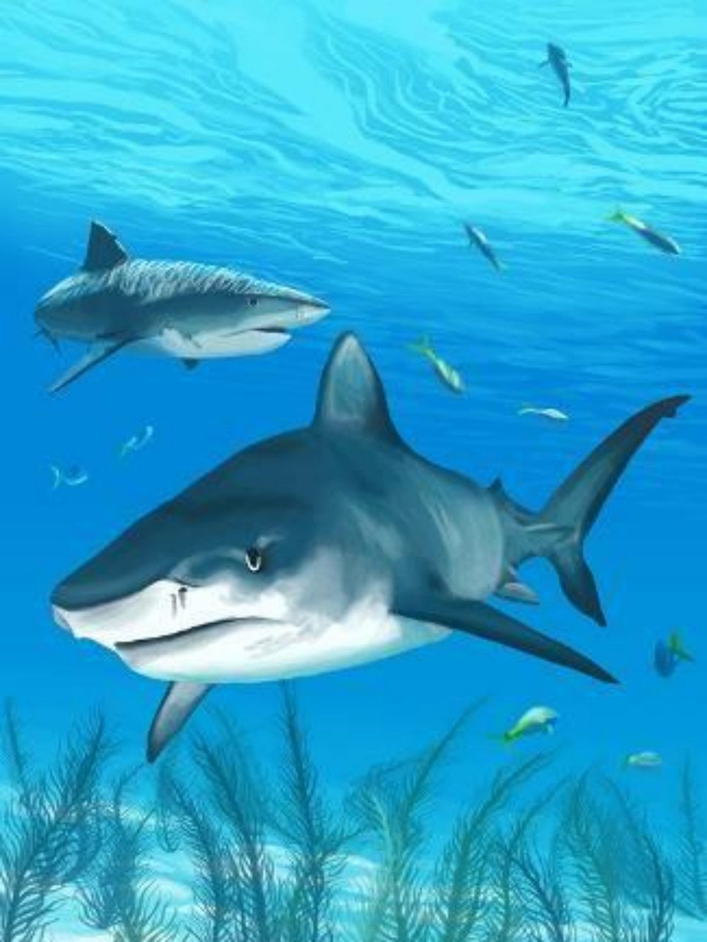 Shark | Diamond Painting