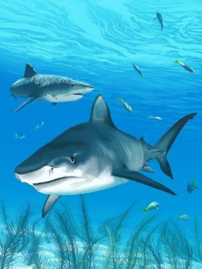 Shark | Diamond Painting