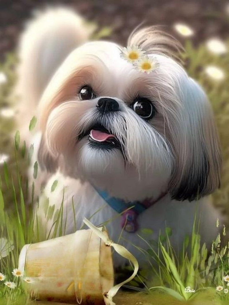 Dog Shih Tzu | Diamond Painting