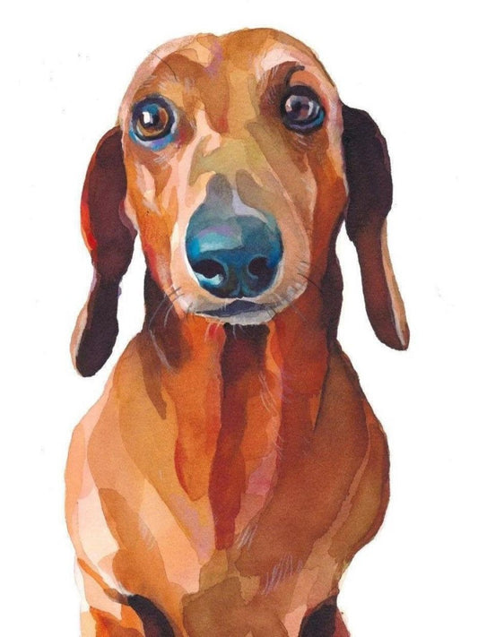 Dachshund Dog | Diamond Painting