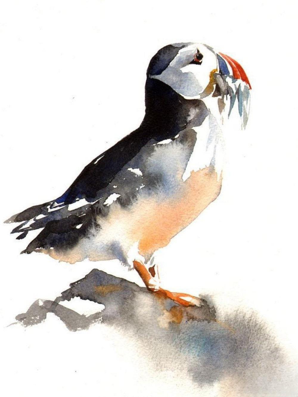 Puffin | Diamond Painting