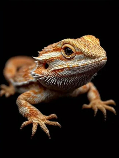 Bearded Dragon | Diamond Painting