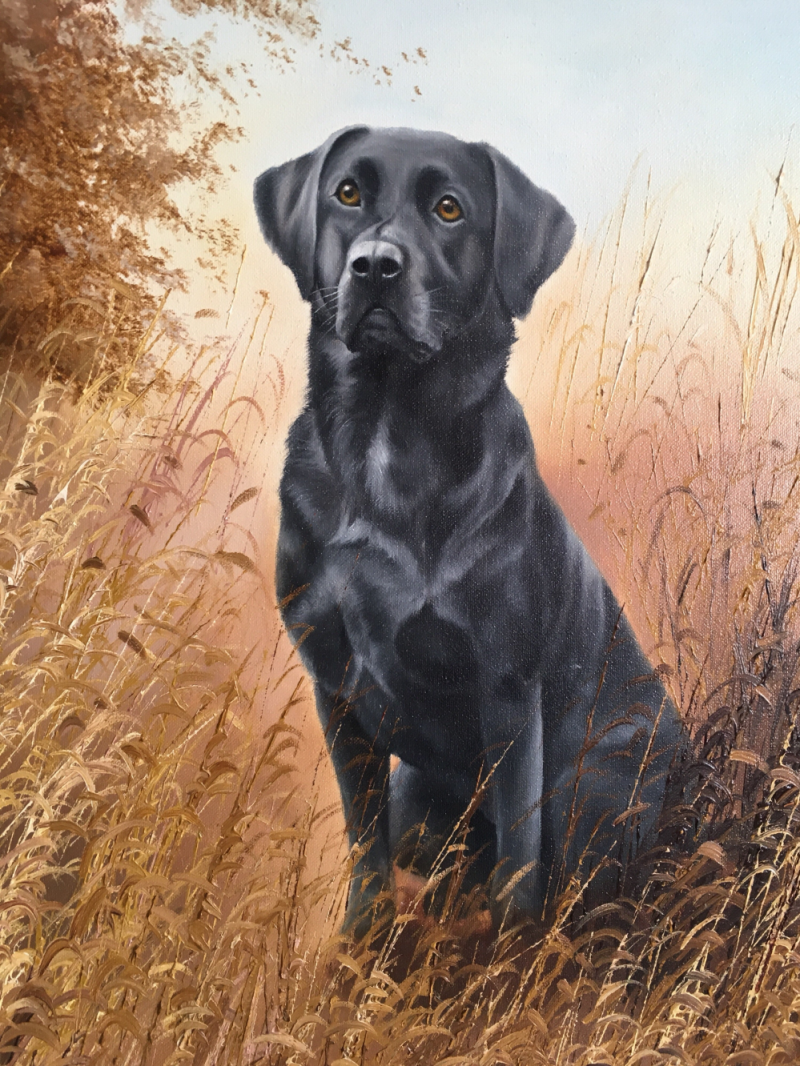Black Labrador Dog | Diamond Painting