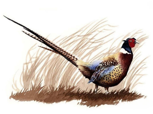 Pheasant | Diamond Painting