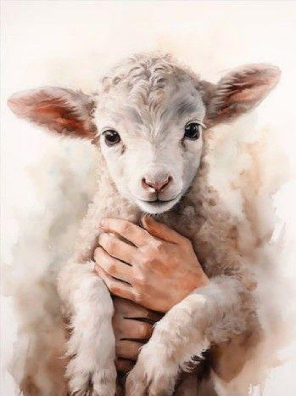 Sheep | Diamond Painting