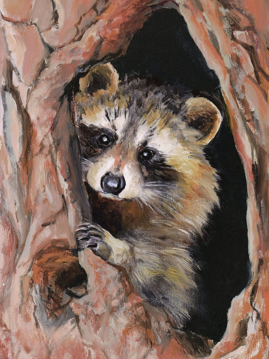 Raccoon | Diamond Painting