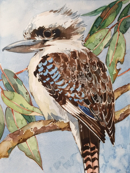 Kookaburra | Diamond Painting