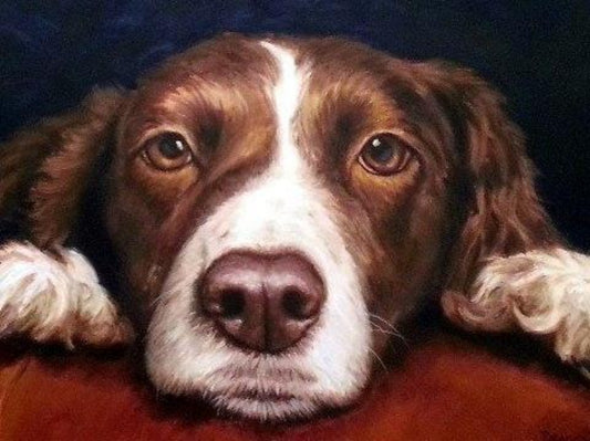 Brittany Spaniel Dog | Diamond Painting