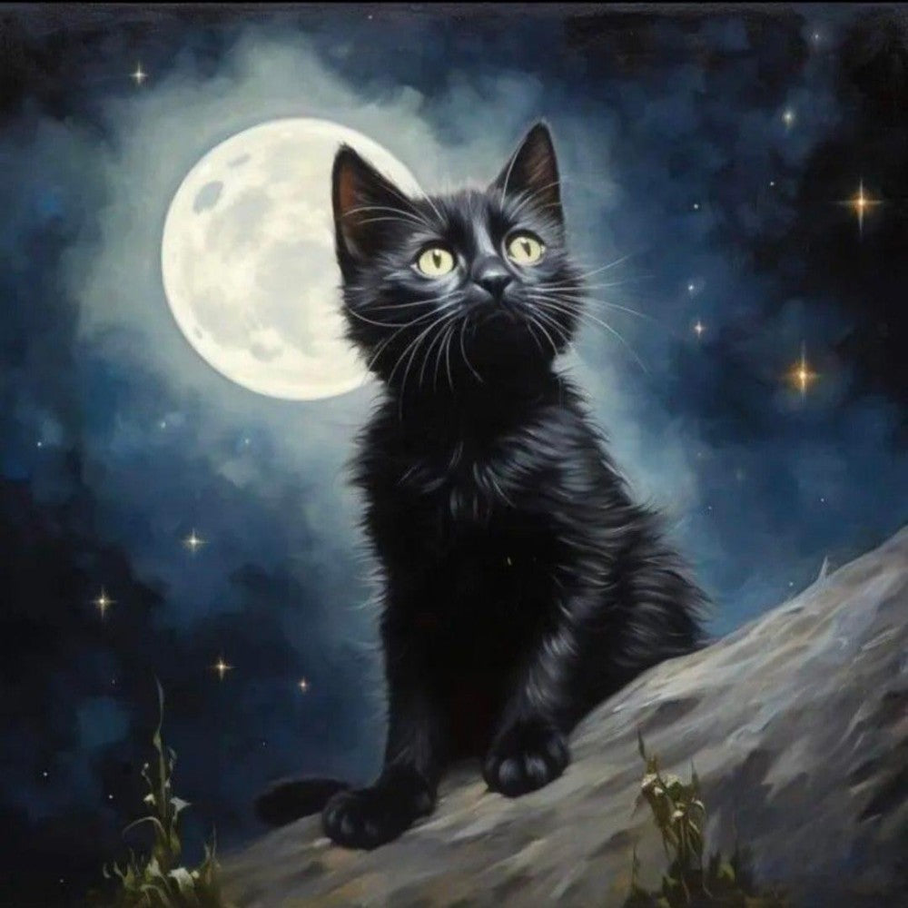 Midnight Cat | Diamond Painting