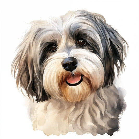 Havanese Dog | Diamond Painting