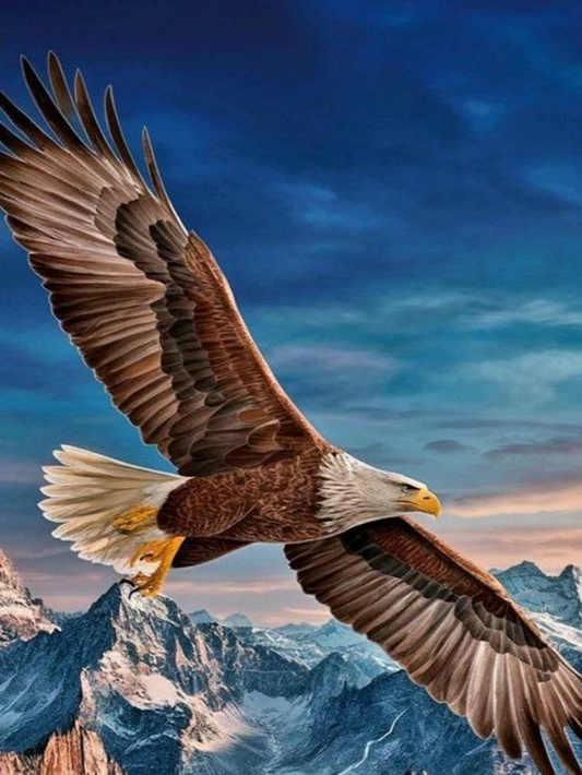 Eagle | Diamond Painting