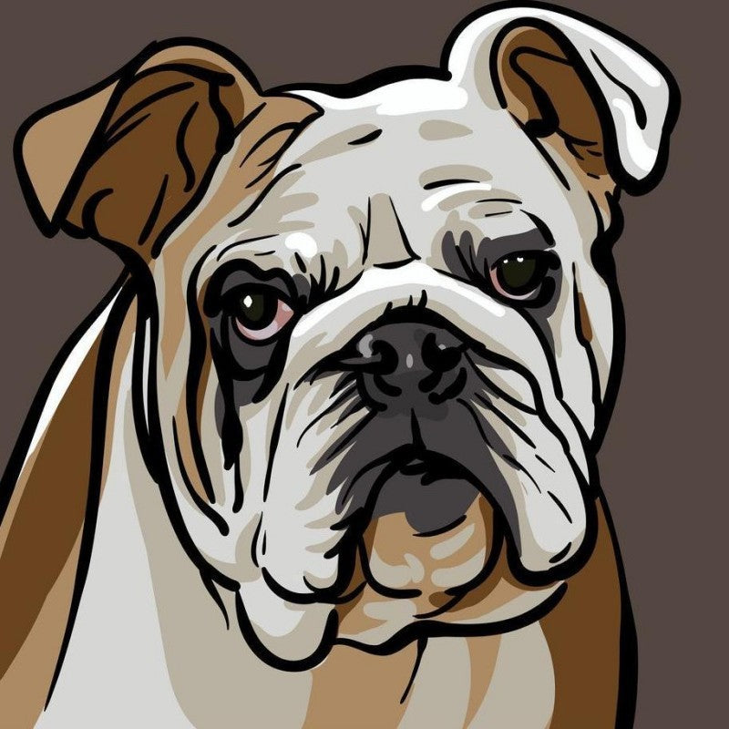 Dog English Bulldog | Diamond Painting