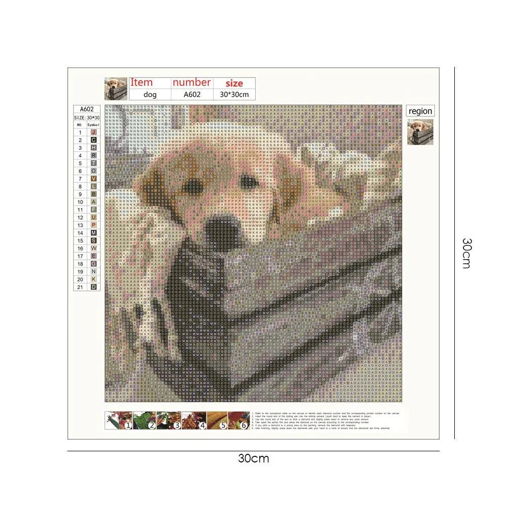 Box Dog Golden Retriever | Diamond Painting