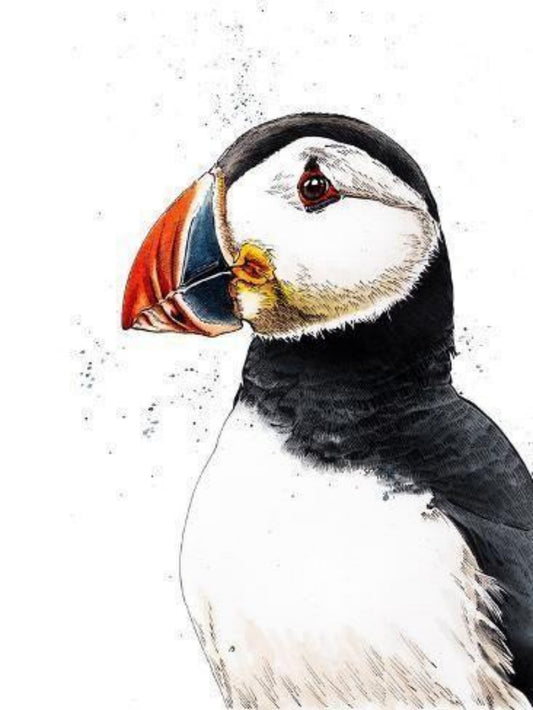 Puffin | Diamond Painting